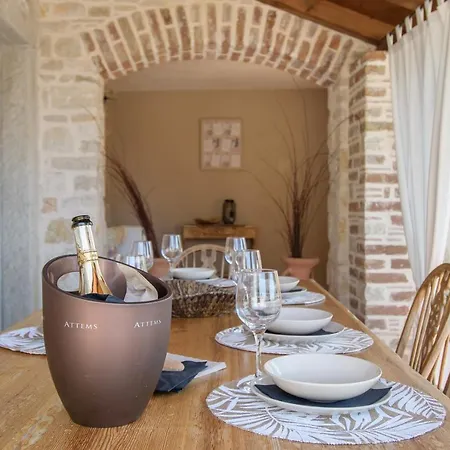 فيلة Stefani بوجي